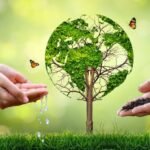 Expert Advice on Preserving the Environment in Your Daily Life