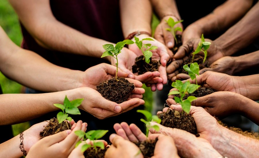 Expert Advice on Preserving the Environment in Your Daily Life